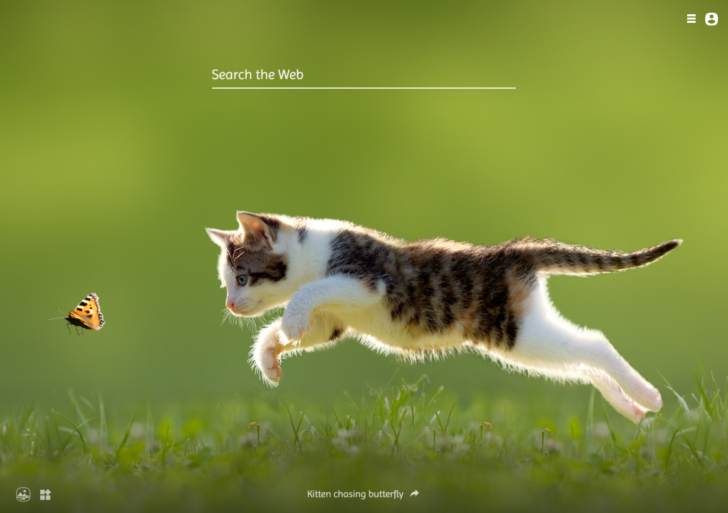 新しいタブの背景を猫の写真にできるChrome拡張機能「My Cats」